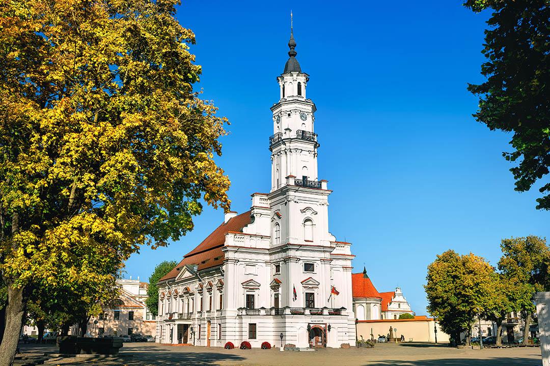 Kaunas – Church and Tree
