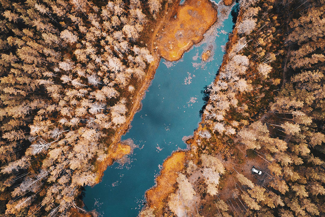 View photography of body of water between trees